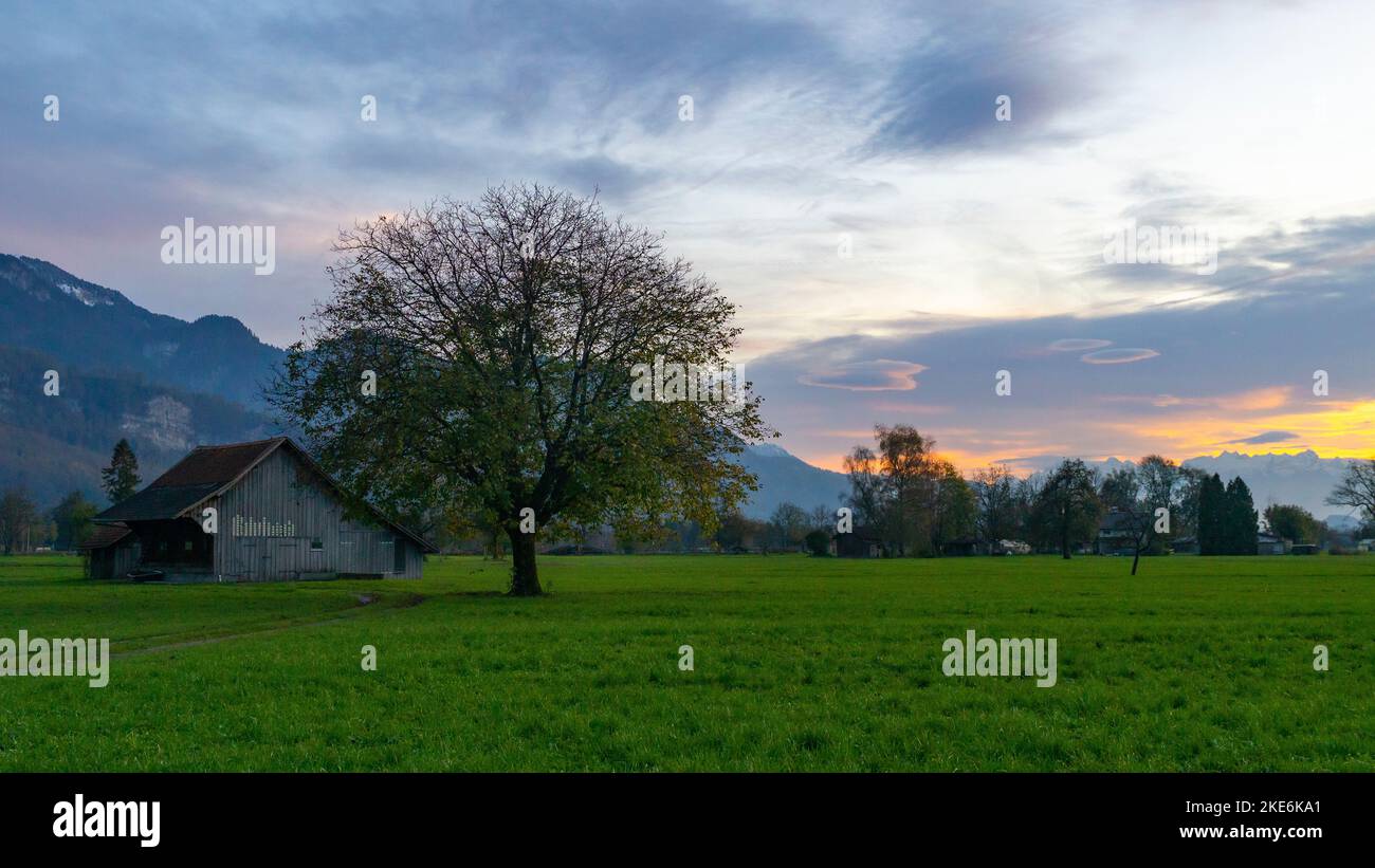 Sonnenuntergang im Rheintal, mit Holzhütte, Wiesen und Felder, Bäumen und Schweizer Bergen im Hintergrund. Föhn mit Wolken und gelb, orange Himmel Stock Photo