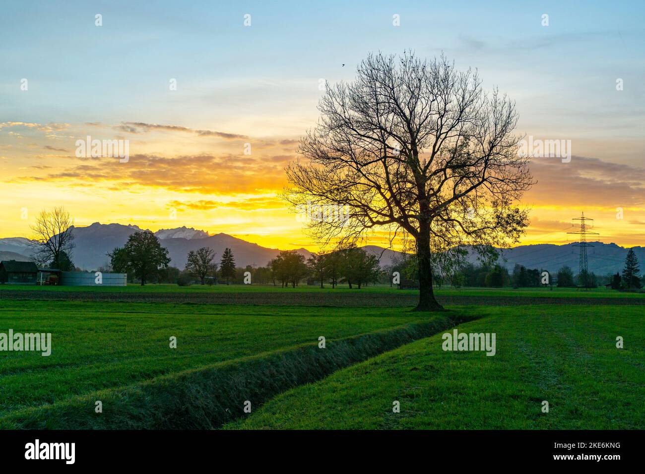 Sonnenuntergang im Rheintal, mit Wiesen und Felder, Bäumen und Schweizer Bergen im Hintergrund. Föhn mit Wolken und blau, gelb, orange, roter Himmel Stock Photo