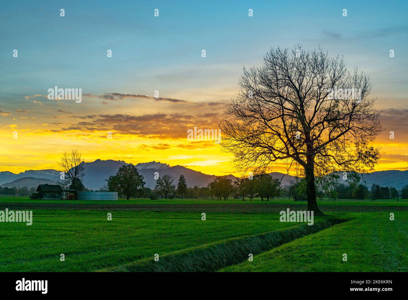 Sonnenuntergang im Rheintal, mit Wiesen und Felder, Bäumen und Schweizer Bergen im Hintergrund. Föhn mit Wolken und blau, gelb, orange, roter Himmel Stock Photo