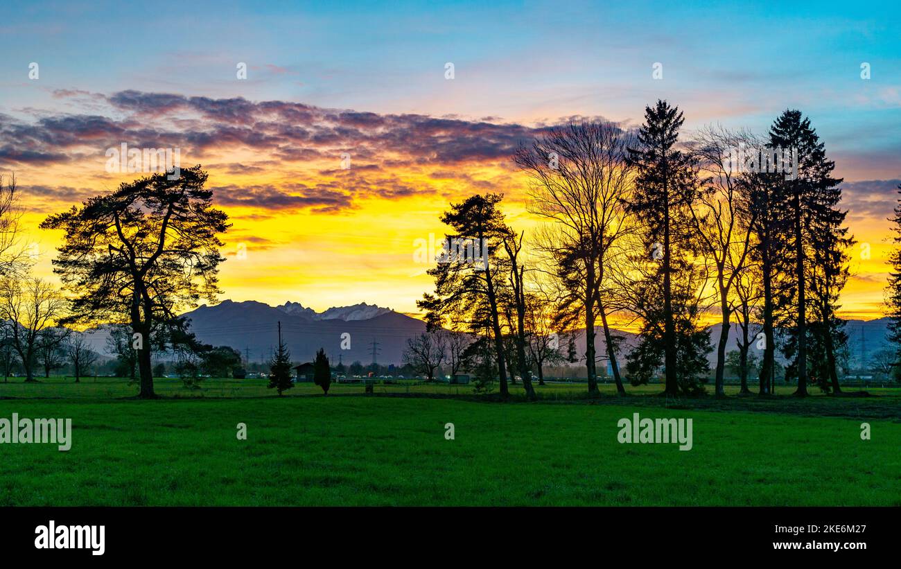 Sonnenuntergang im Rheintal, mit Wiesen und Felder, Bäumen und Schweizer Bergen im Hintergrund. Föhn mit Wolken und blau, gelb, orange, roter Himmel Stock Photo