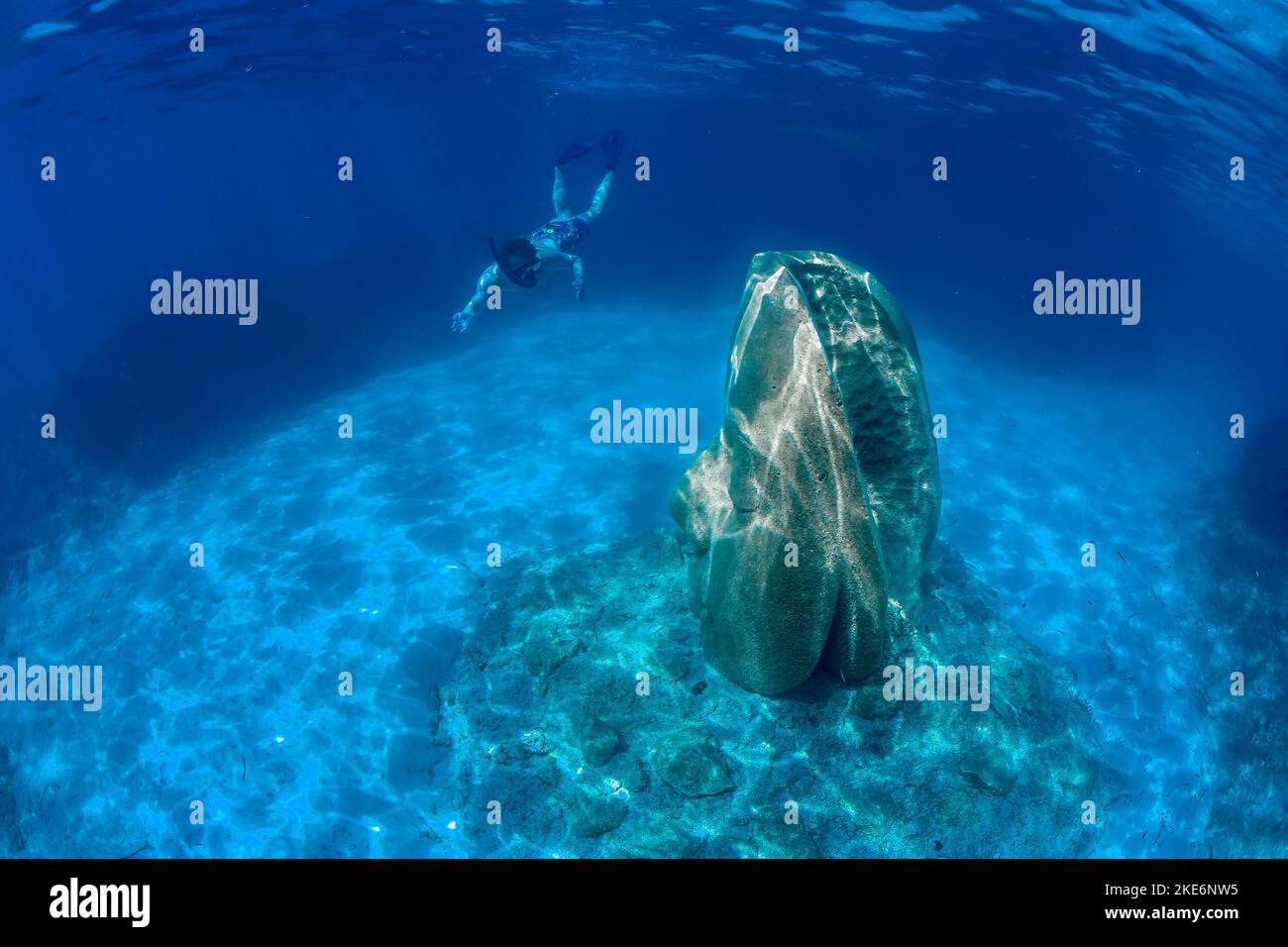 France. AlpesMaritimes (06) Cannes, SainteMarguerite, Lerins Islands