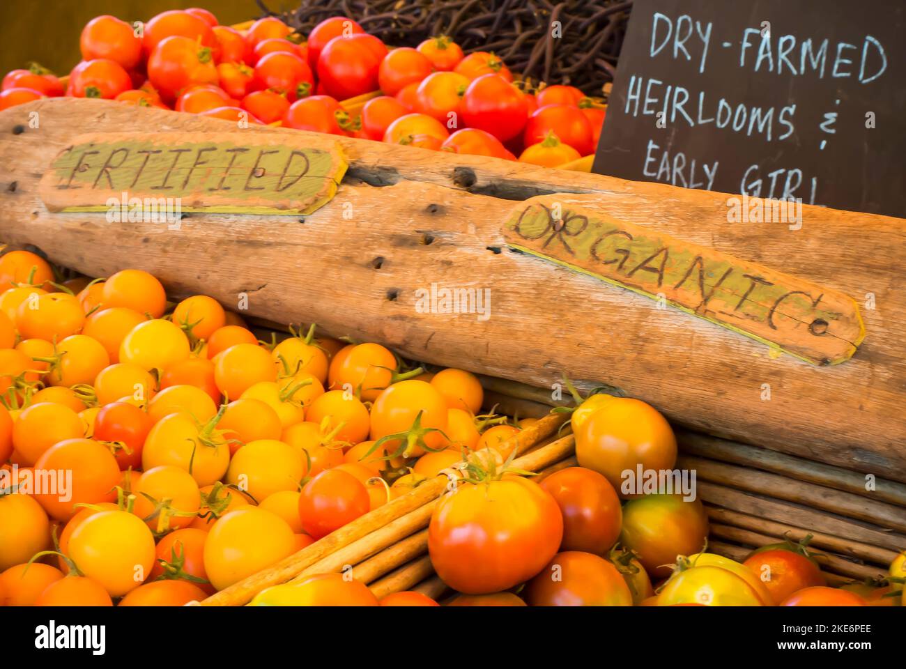 solaraceae-hi-res-stock-photography-and-images-alamy