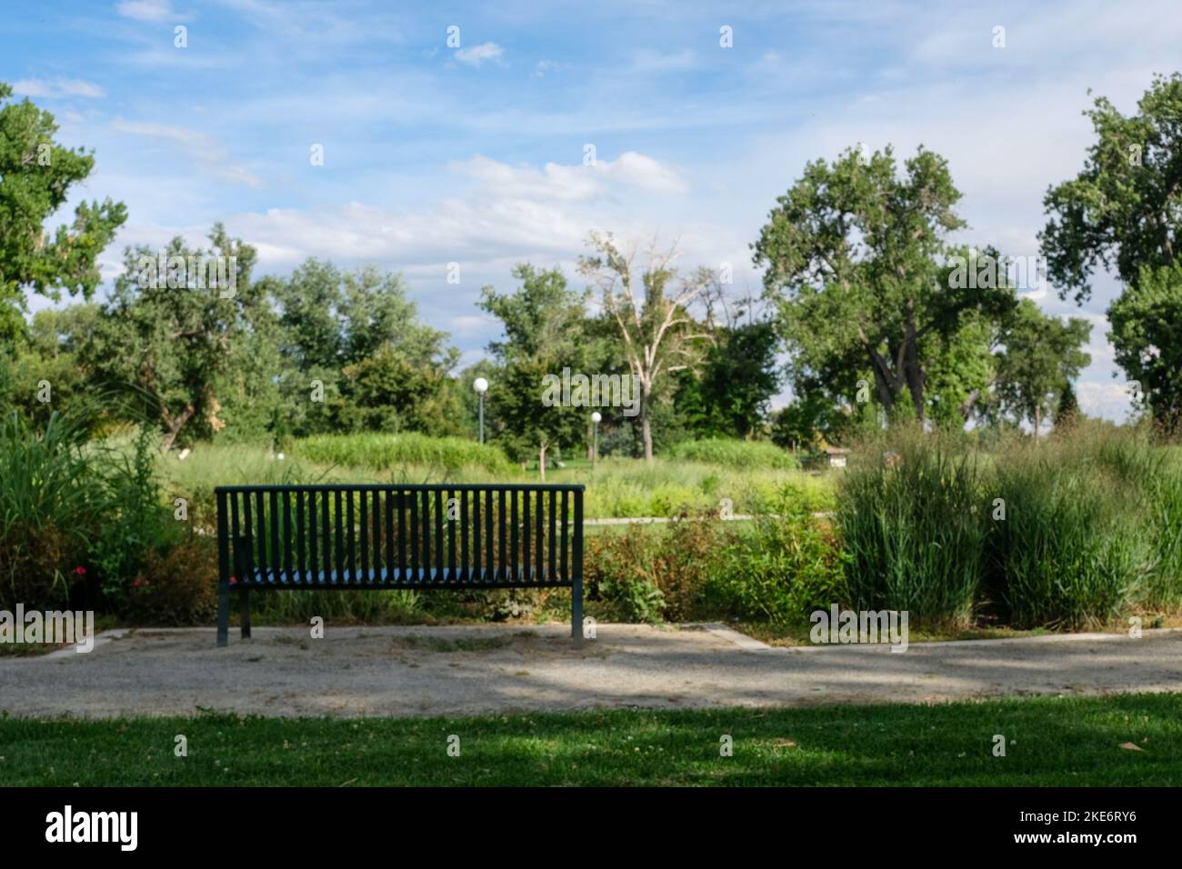 A bench in Washington park in Denver Colorado Stock Photo Alamy