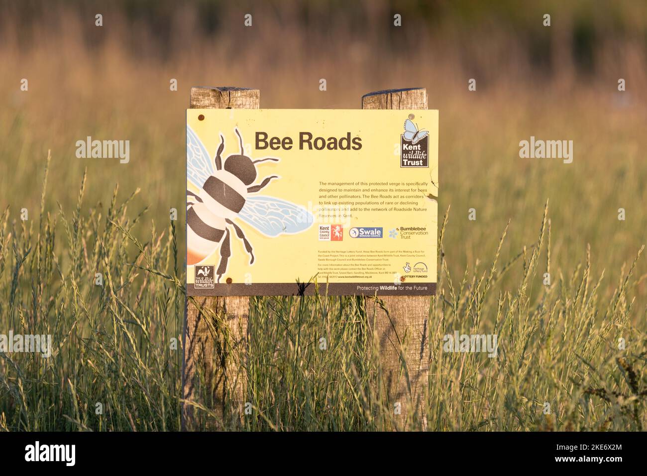 Bee Road - Kent Wildlife Trust Bee Roads sign in area creating a corridor for pollinators - Leysdown on Sea, Isle of Sheppey, Kent, England, UK Stock Photo