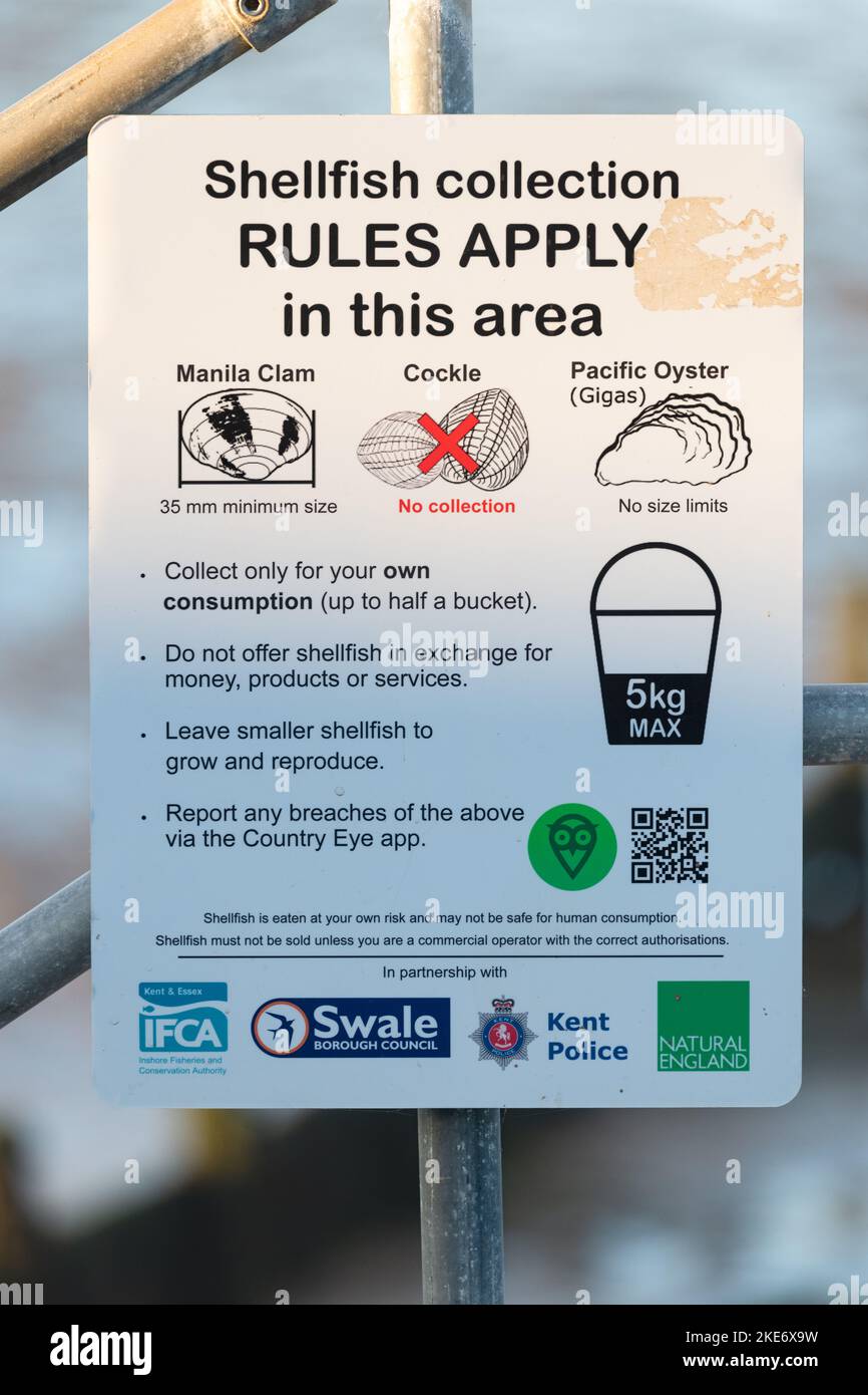 Shellfish Collection Rules Apply in this area sign, Kent, England, UK
