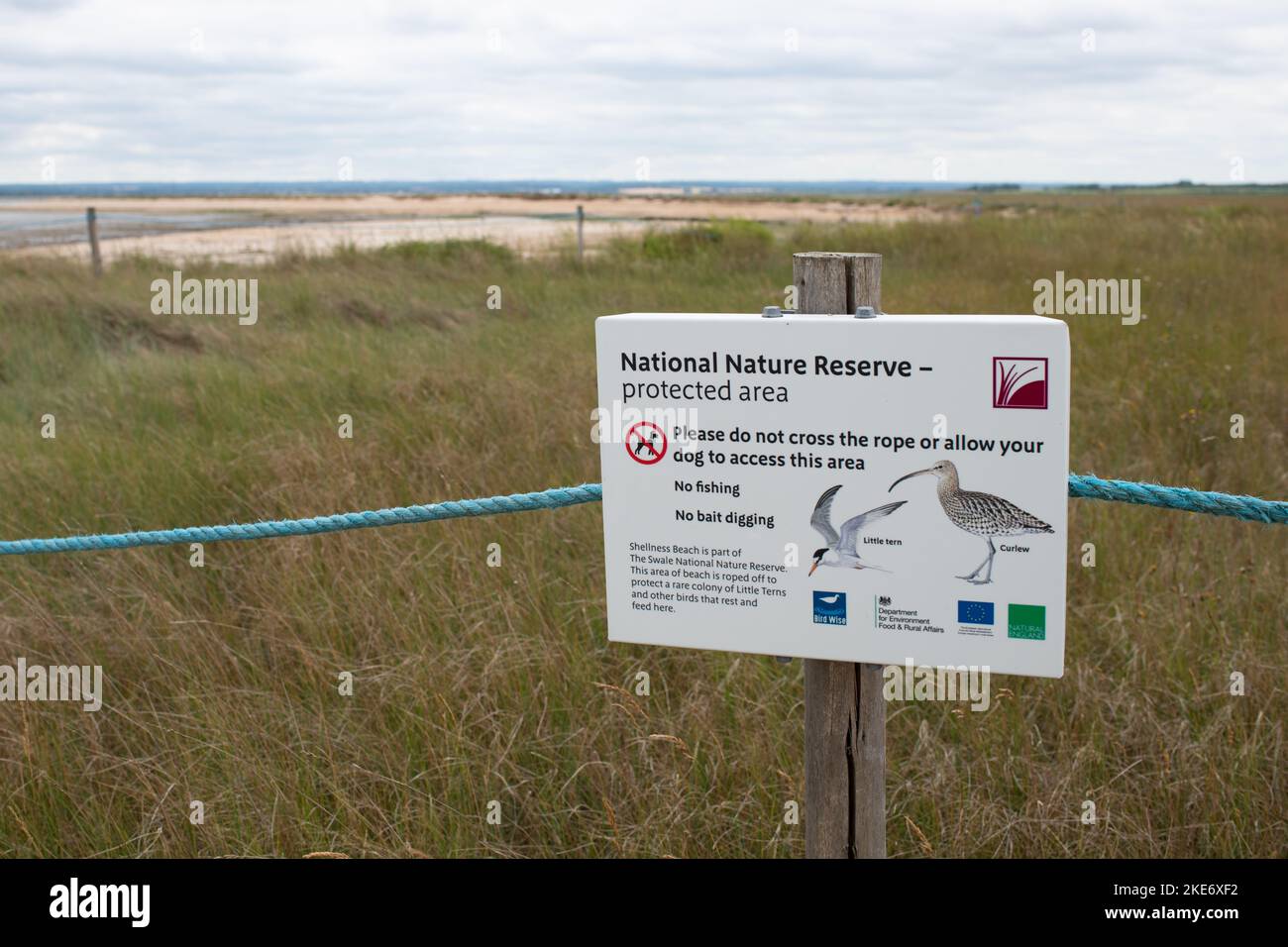 National Nature Reserve protected area for Little Tern colony and Curlews -  Shellness Beach, Leysdown on Sea, Isle of Sheppey, Kent, England, UK Stock Photo