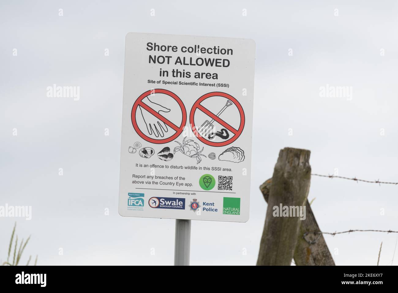 Shore Collection not allowed in this area sign at Swale National Nature Reserve, Shellness Beach, Leysdown on Sea, Isle of Sheppey, Kent, UK Stock Photo