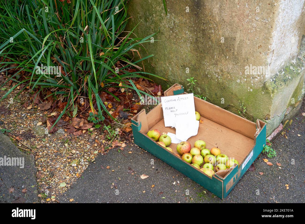 Free cooking apples in a cardboard box at the edge of a pavement with a hand written notice saying please help yourself Stock Photo