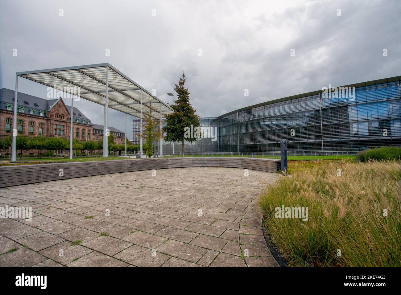09-19-2022 Leverkusem, Germany. Miscanthus grass as part of garden next to Main office building of Bayer Company and canopy forcar parking on the left Stock Photo