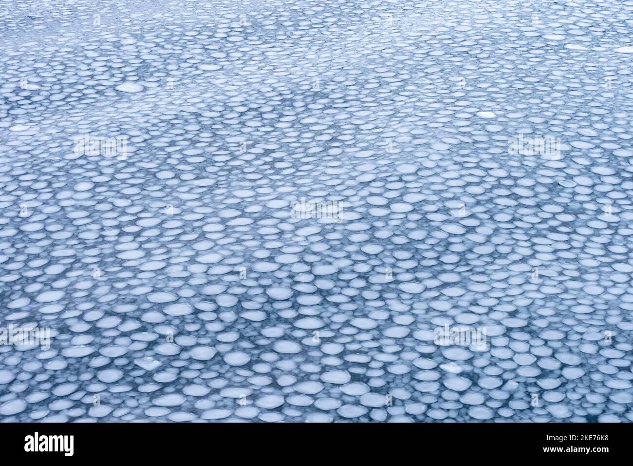 Pancake Ice. Ice forms below the surface of the water and risis to the