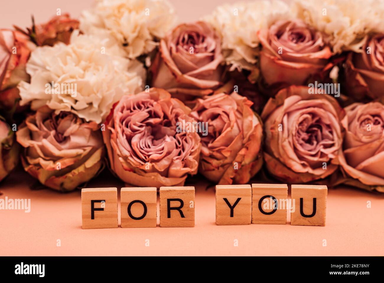 Orange roses are laid out on a monochromatic background. Spring for you Stock Photo