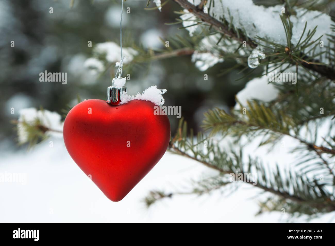 A red heart shaped ornament hangs on a snow covered tree branch Stock Photo