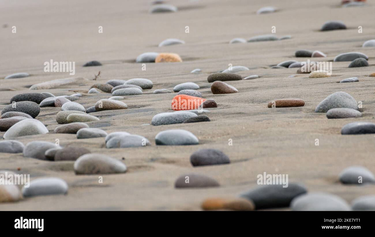 A selective focus shot of colorful rocks on the sea shore Stock Photo ...