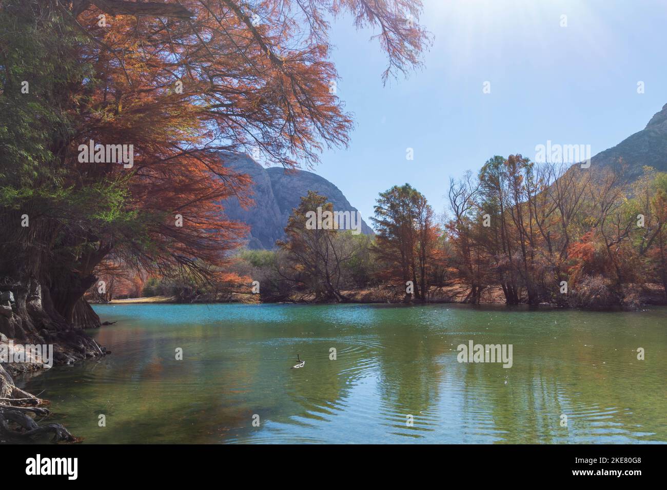 A beautiful scenery of a lake with fall trees and mountains Stock Photo ...