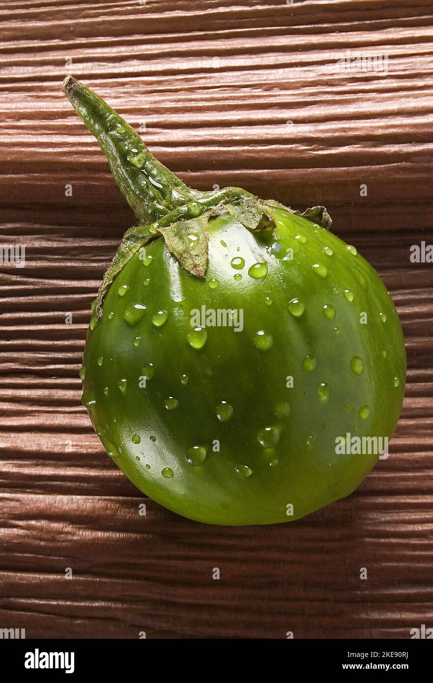 Solanum gilo, Scarlet eggplant, for sale, Stock Video