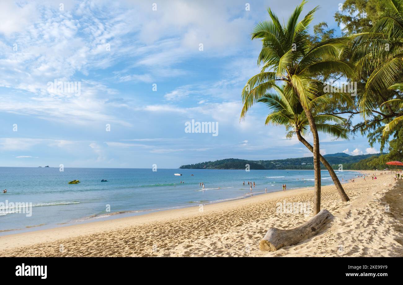 Palm trees during sunset on the beach of Bang Tao beach Phuket Thailand ...