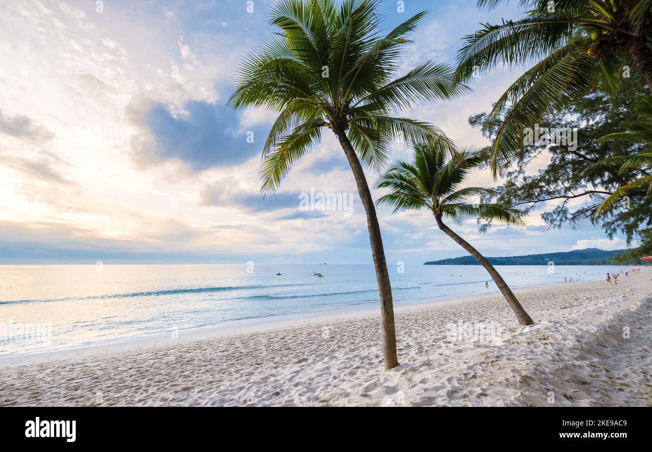 sunset with palm trees on the beach of Bang Tao beach Phuket Thailand ...