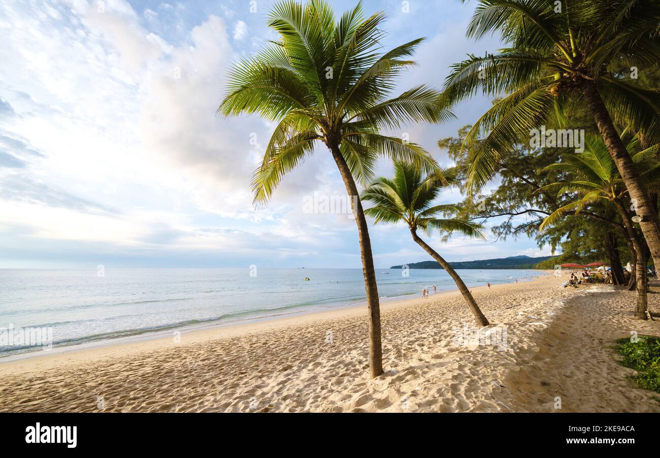 sunset with palm trees on the beach of Bang Tao beach Phuket Thailand ...