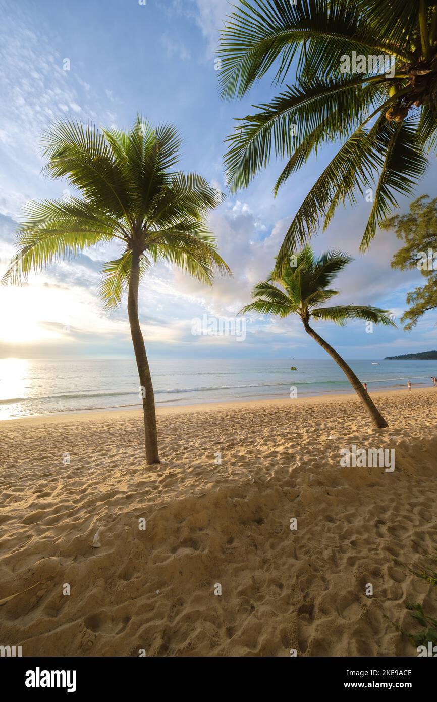 sunset with palm trees on the beach of Bang Tao beach Phuket Thailand ...