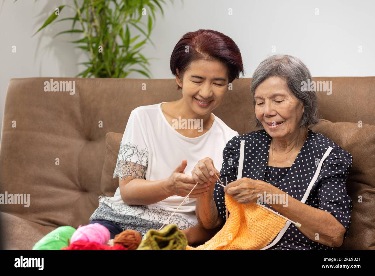 Elderly woman and daughter knitting together for protect dementia and memory loss. Stock Photo