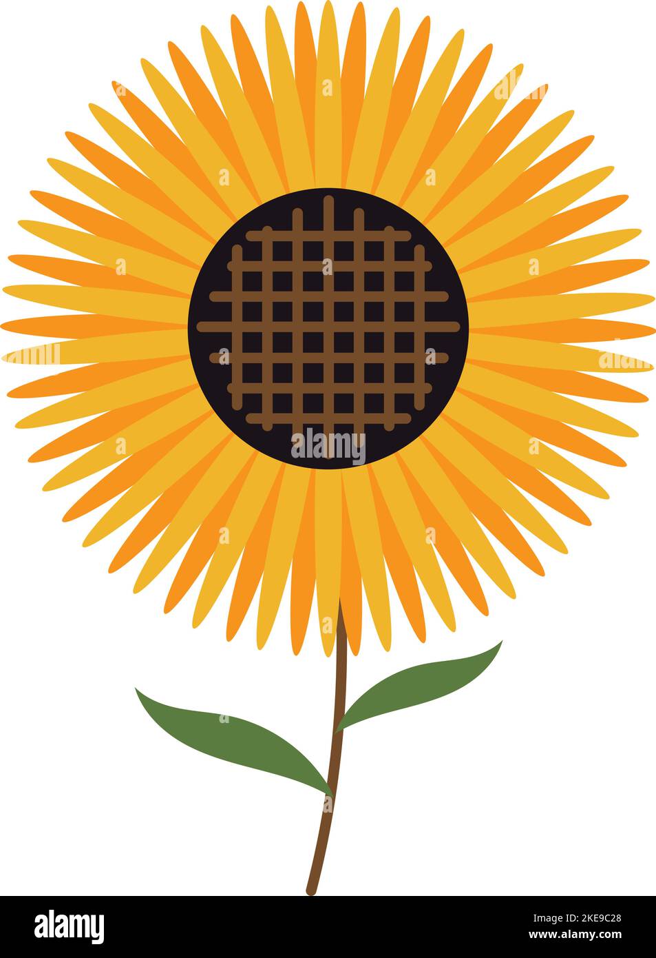 Sunflower in detail Stock Vector Images - Alamy