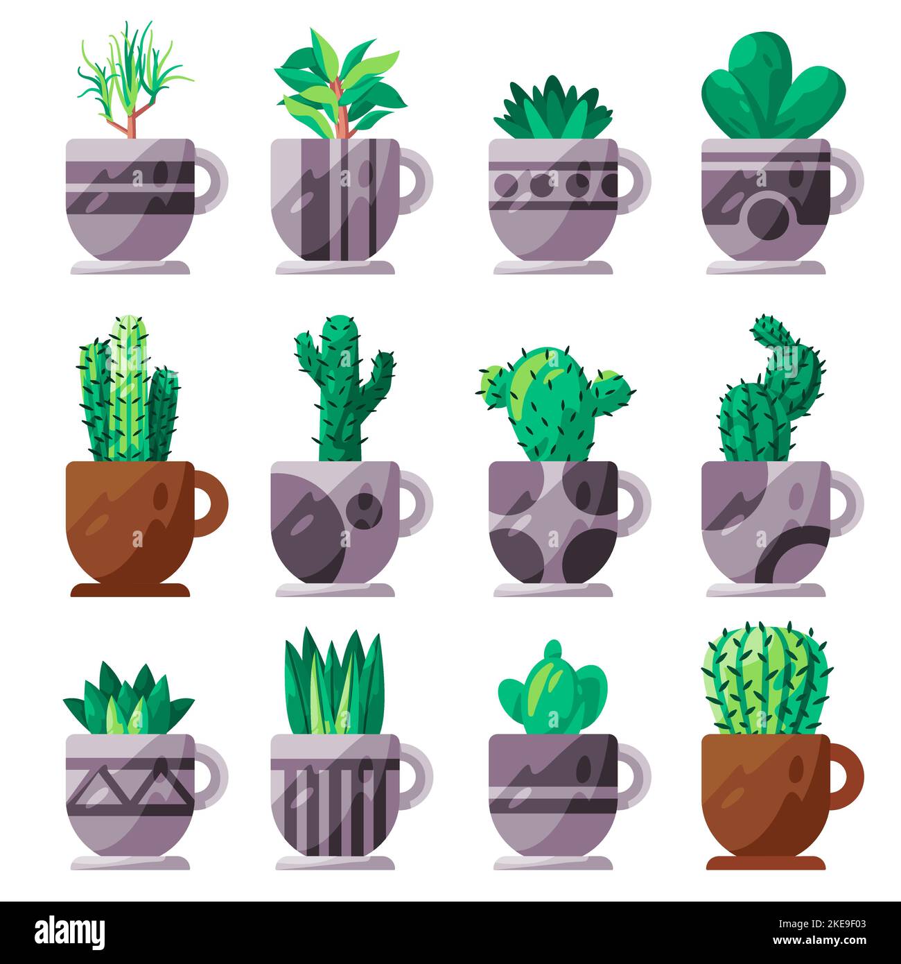 Cactus cacti mexican plant potted collection set in planter cup Stock