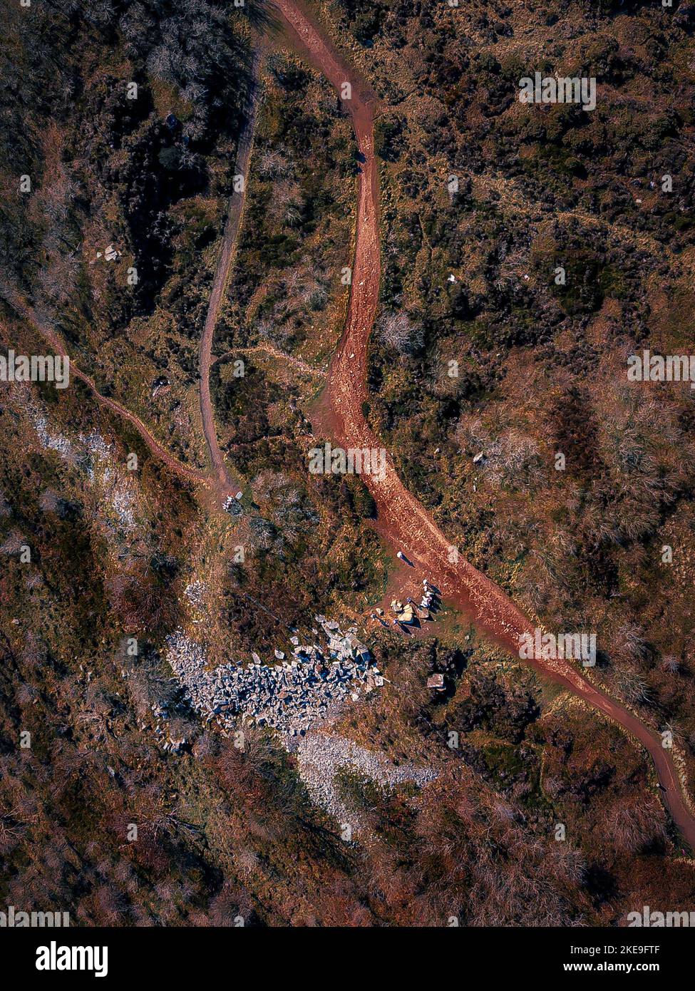 An aerial view of road surrounded by dense trees Stock Photo - Alamy