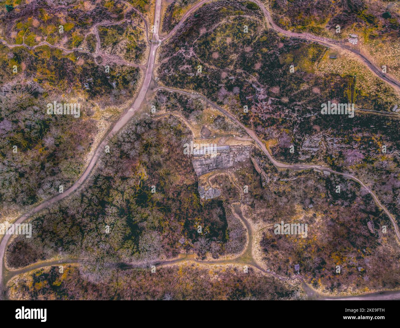 An aerial view of road surrounded by dense trees Stock Photo - Alamy