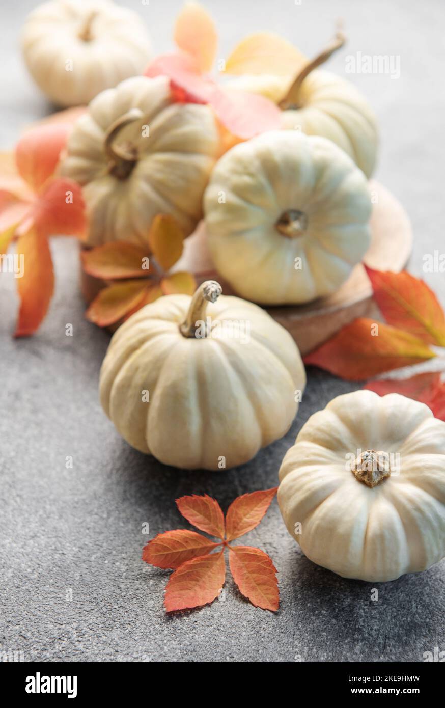 Thanksgiving season still life with small pumpkins and fall leaves over ...