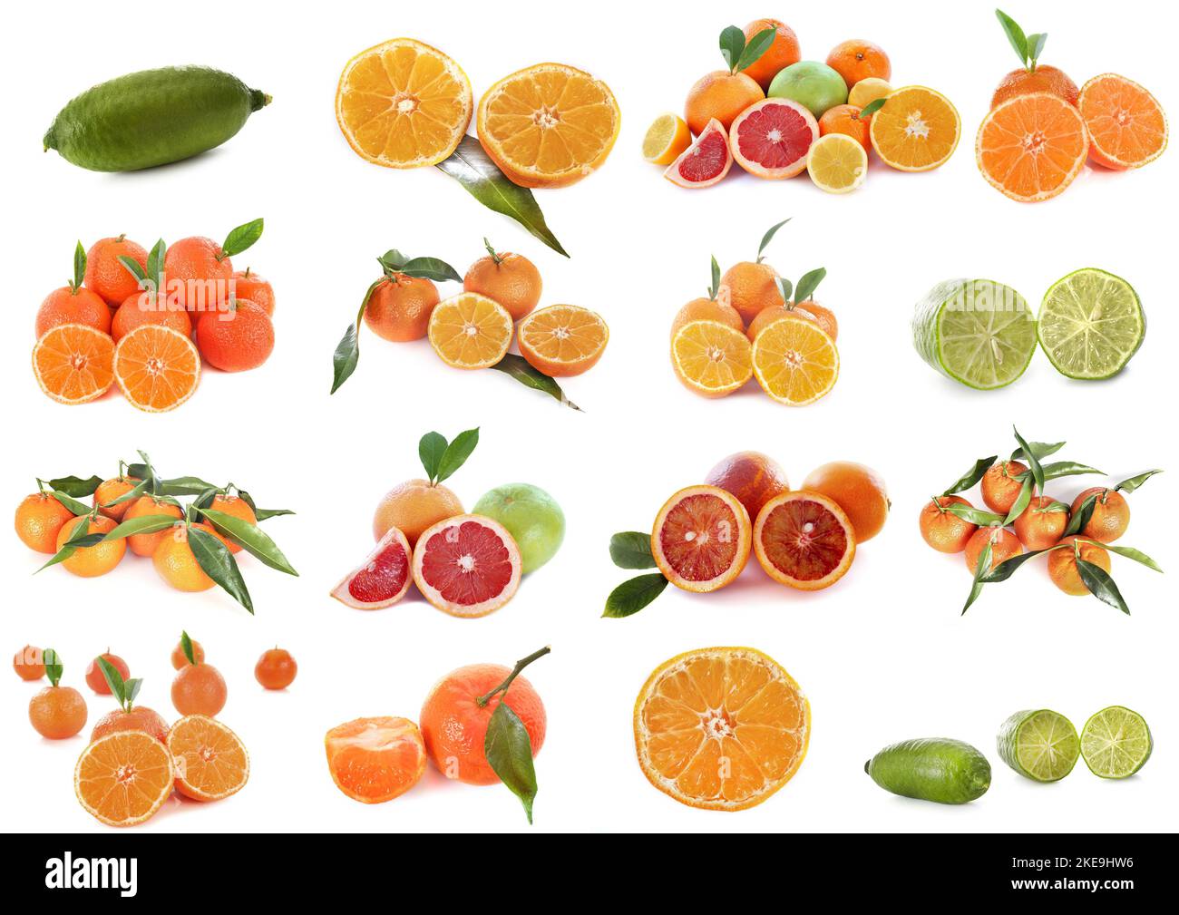 composite picture of citrus fruits in front of white background Stock