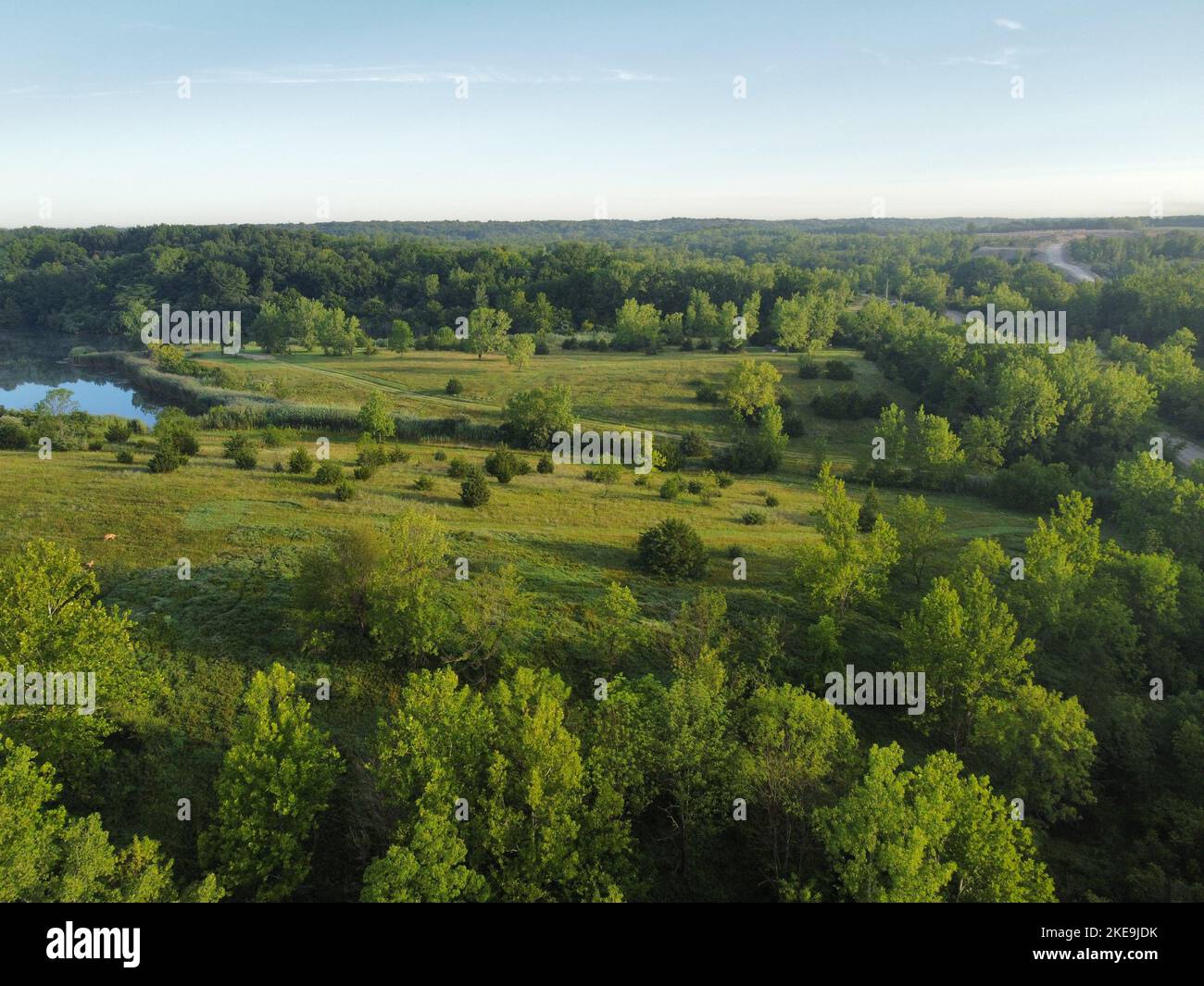 An aerial view of greenery field surrounded by dense trees and water ...