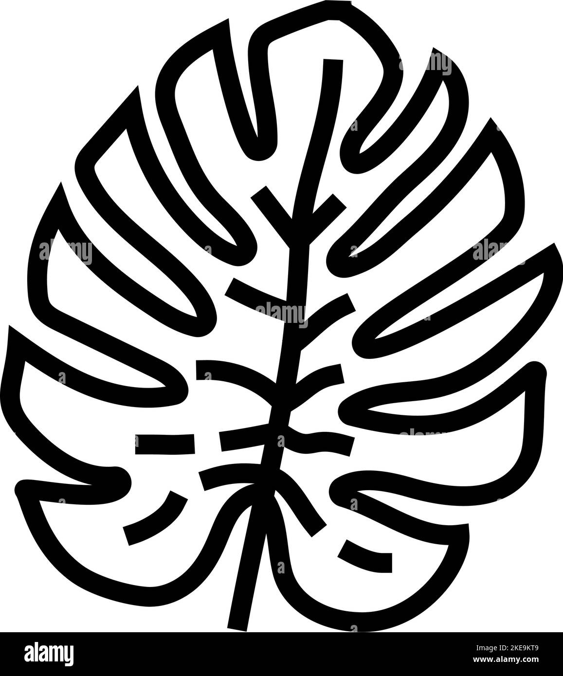 monstera tropical leaf line icon vector illustration Stock Vector Image ...