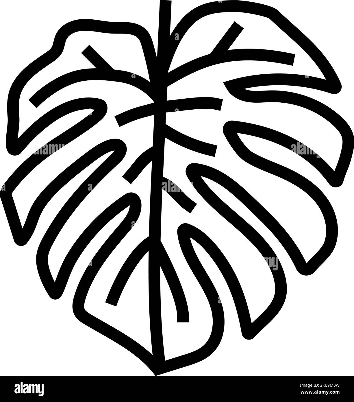 monstera plant leaf line icon vector illustration Stock Vector Image ...