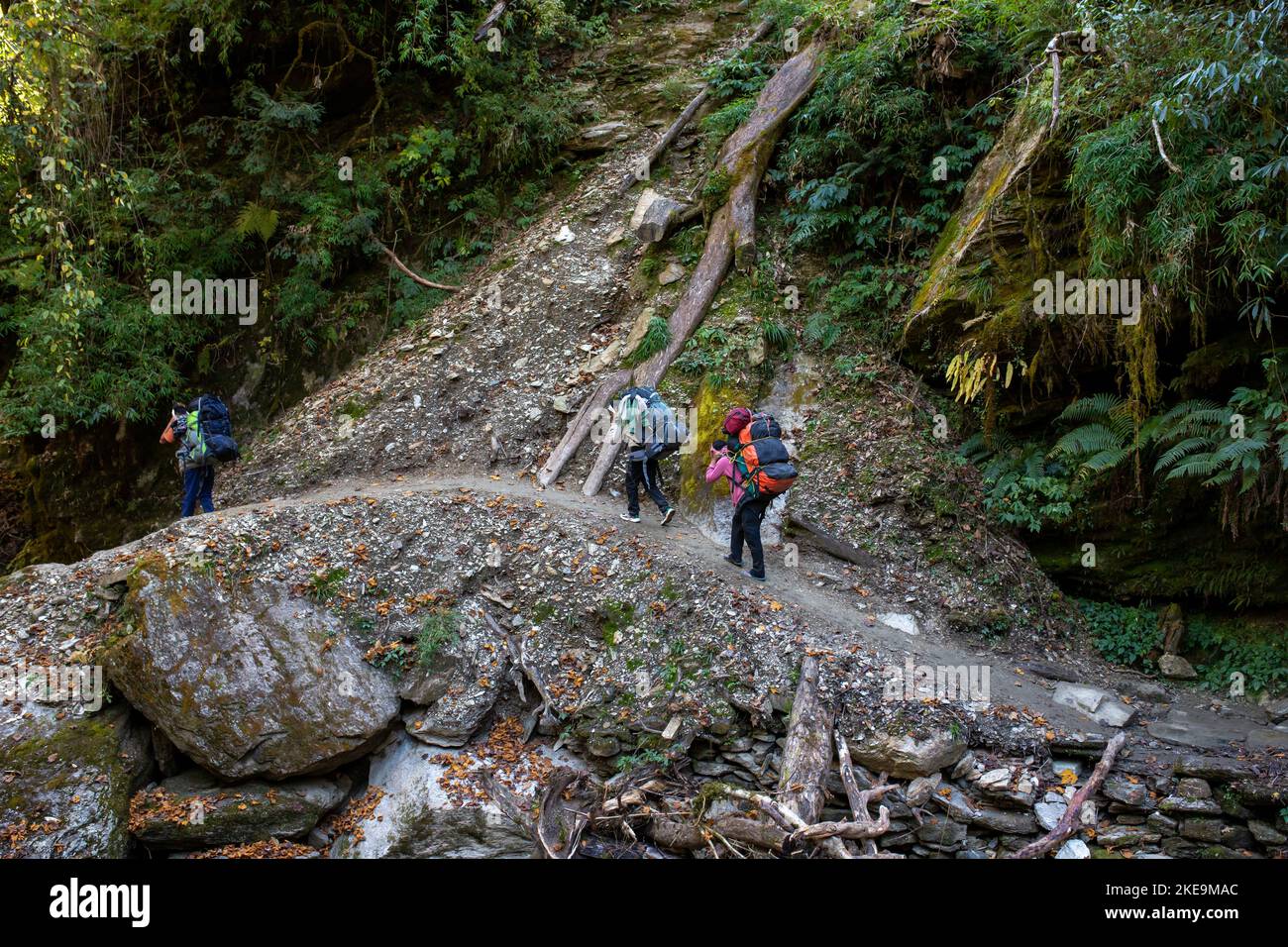 Potters of Nepal carrying loads of a foreigners Stock Photo Alamy