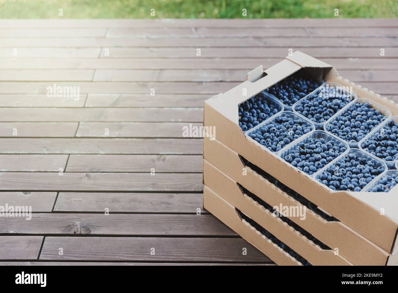 Shipping of blueberry in box or crate with many plastic containers of