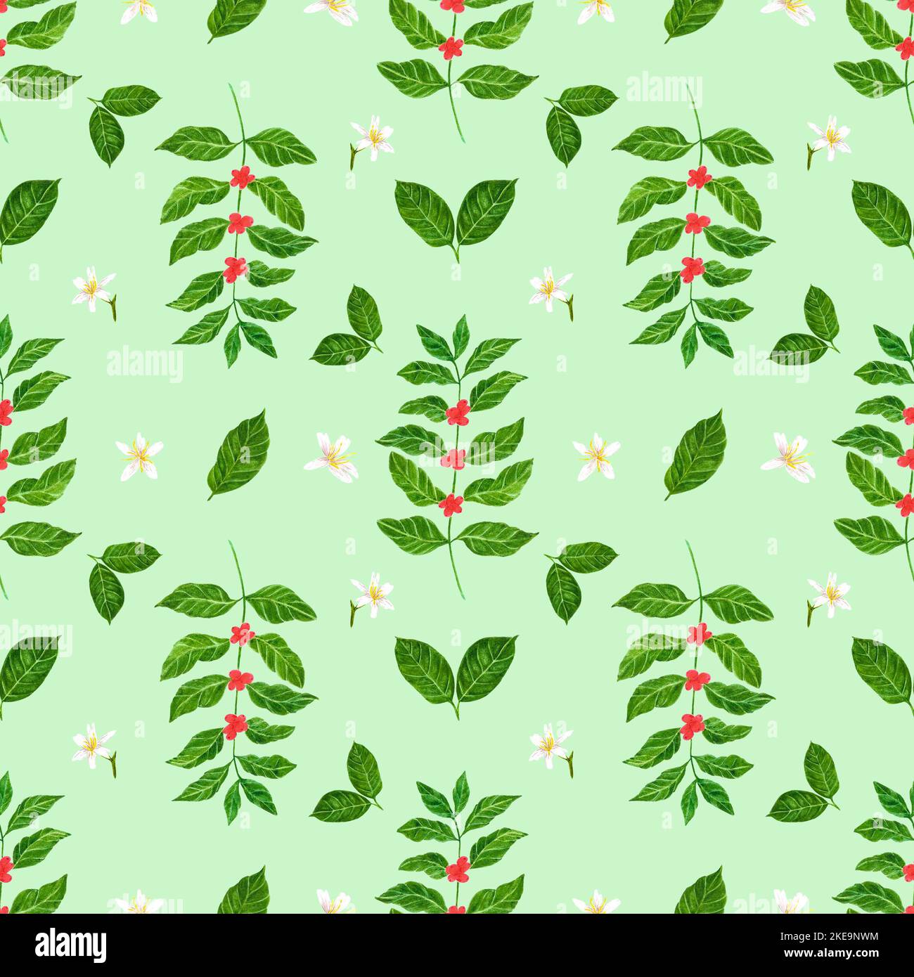 Handdrawn Watercolor coffee branch and leaves seamless pattern ...