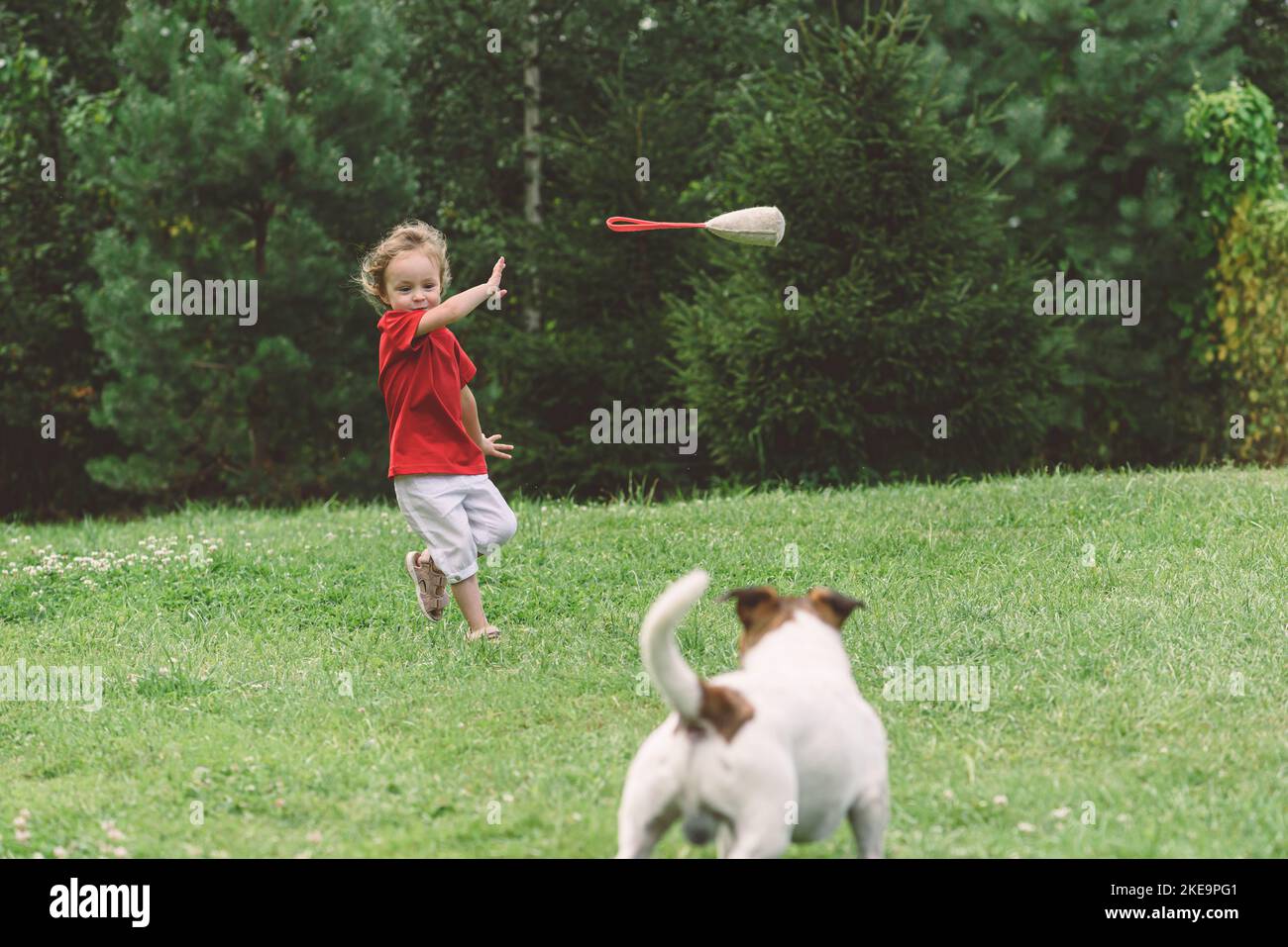 Girl and her dog playing outside on green grass lawn in backyard Stock ...