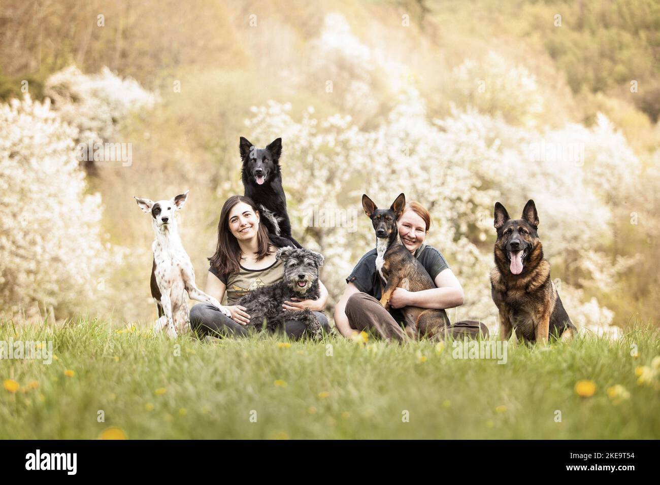 women and dogs Stock Photo - Alamy
