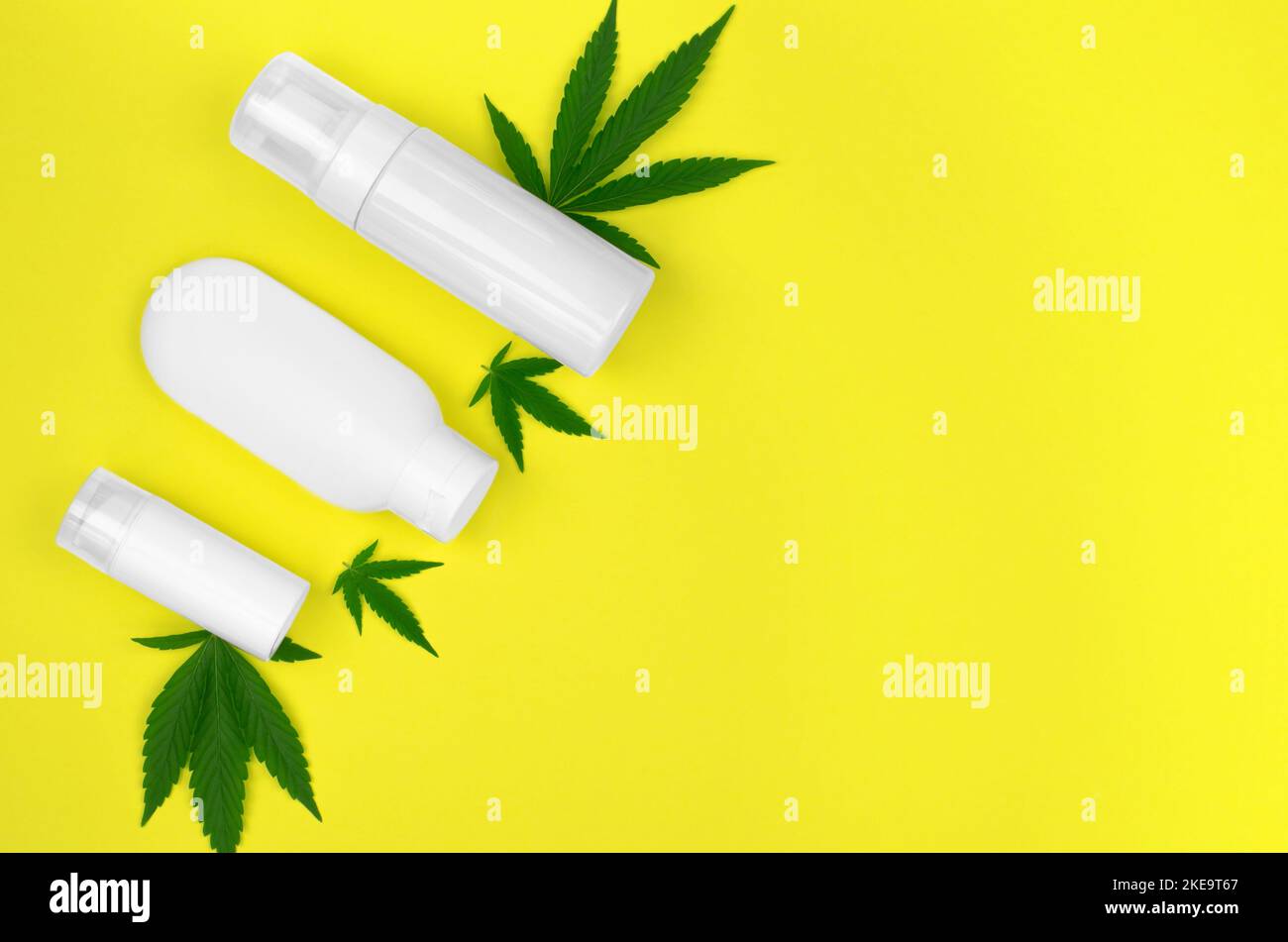 Hemp cosmetics and green hemp leaves on a yellow background. Natural