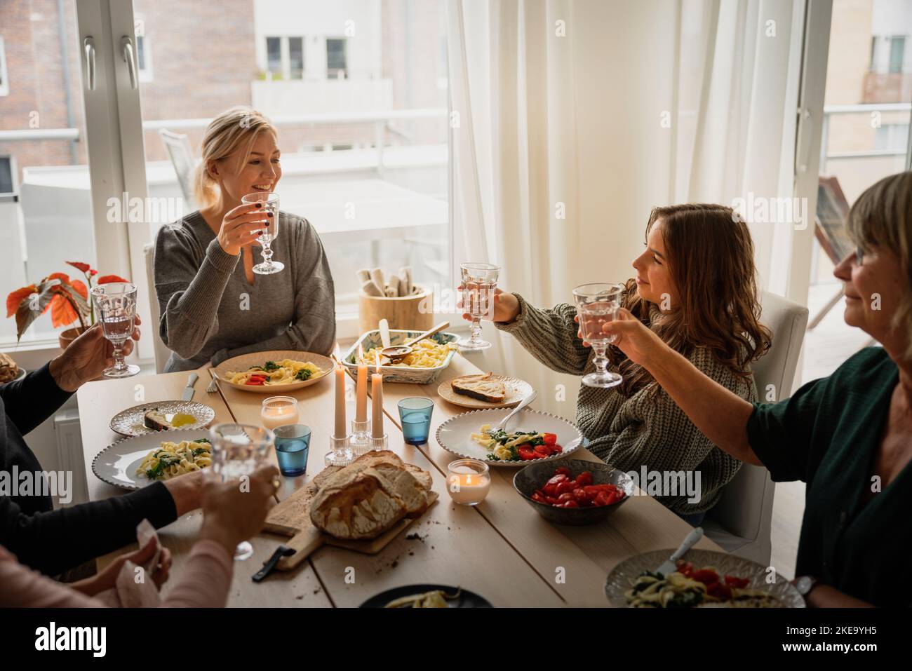 Family raising toast at dinner Stock Photo Alamy