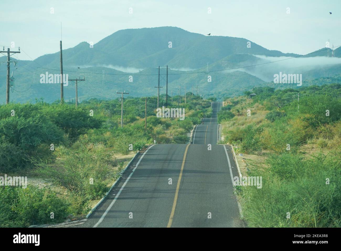 Road baja california sur la paz hi-res stock photography and images - Alamy