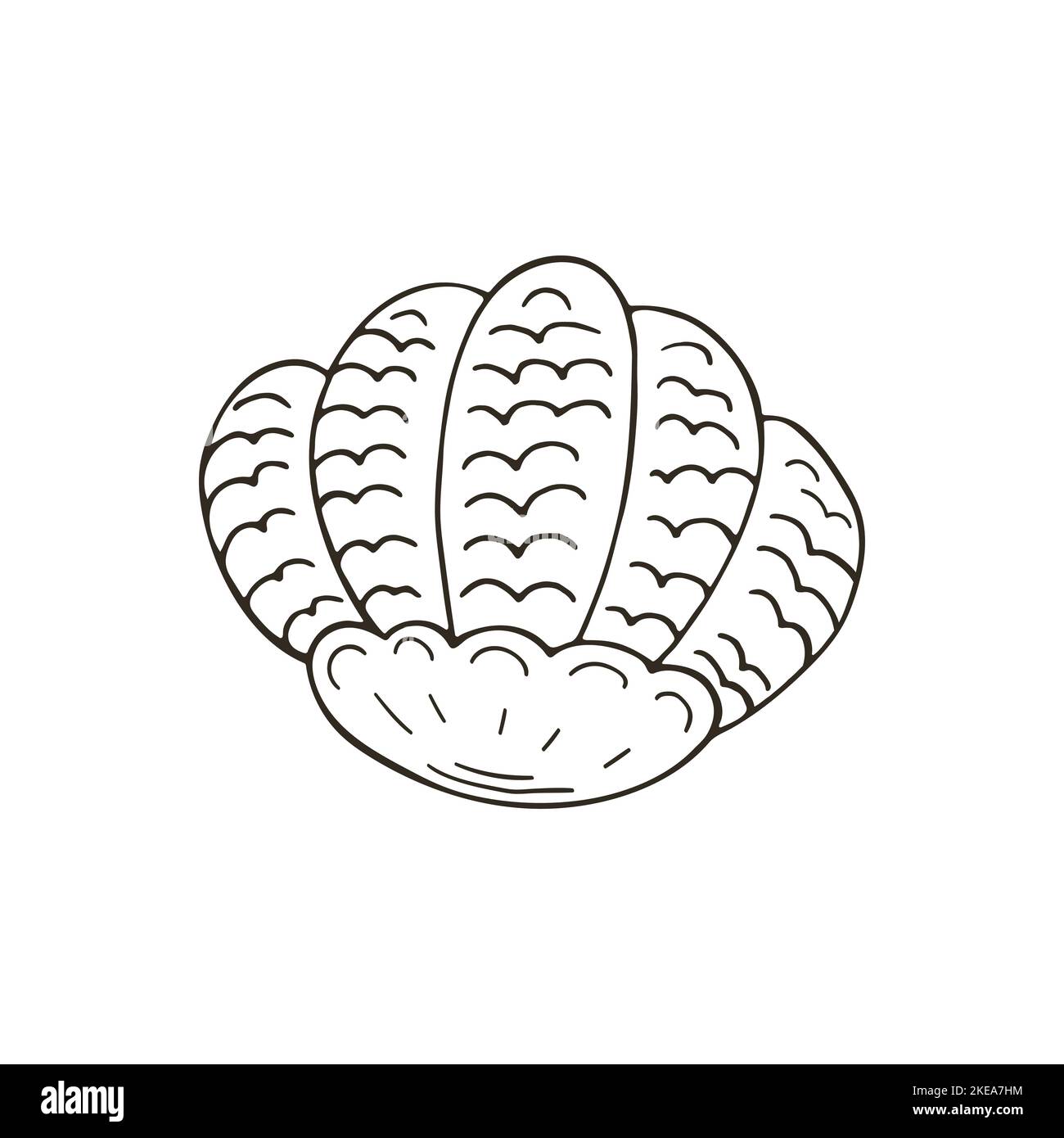 Drawing on the theme of the sea, ocean. Illustration in hand draw style ...