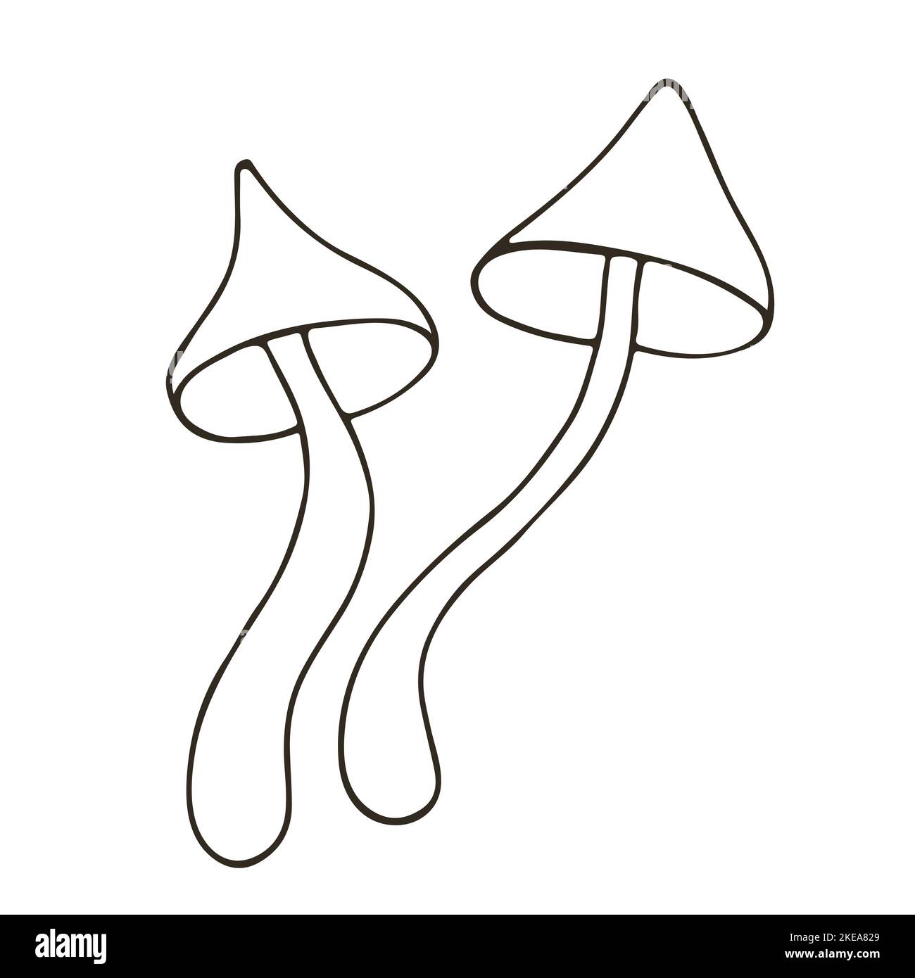 Deconica coprophila. Small set of hand drawn style vector illustrations