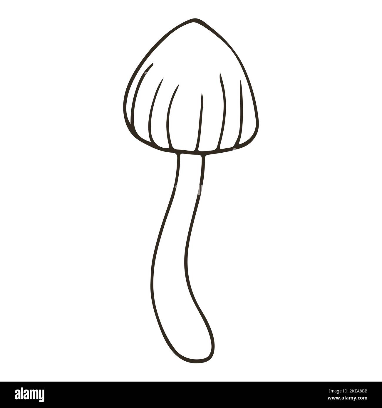 Galerina marginata. Autumn illustration in hand drawn style. Monochrome forest mushroom. Icon, sign, sticker Stock Vector