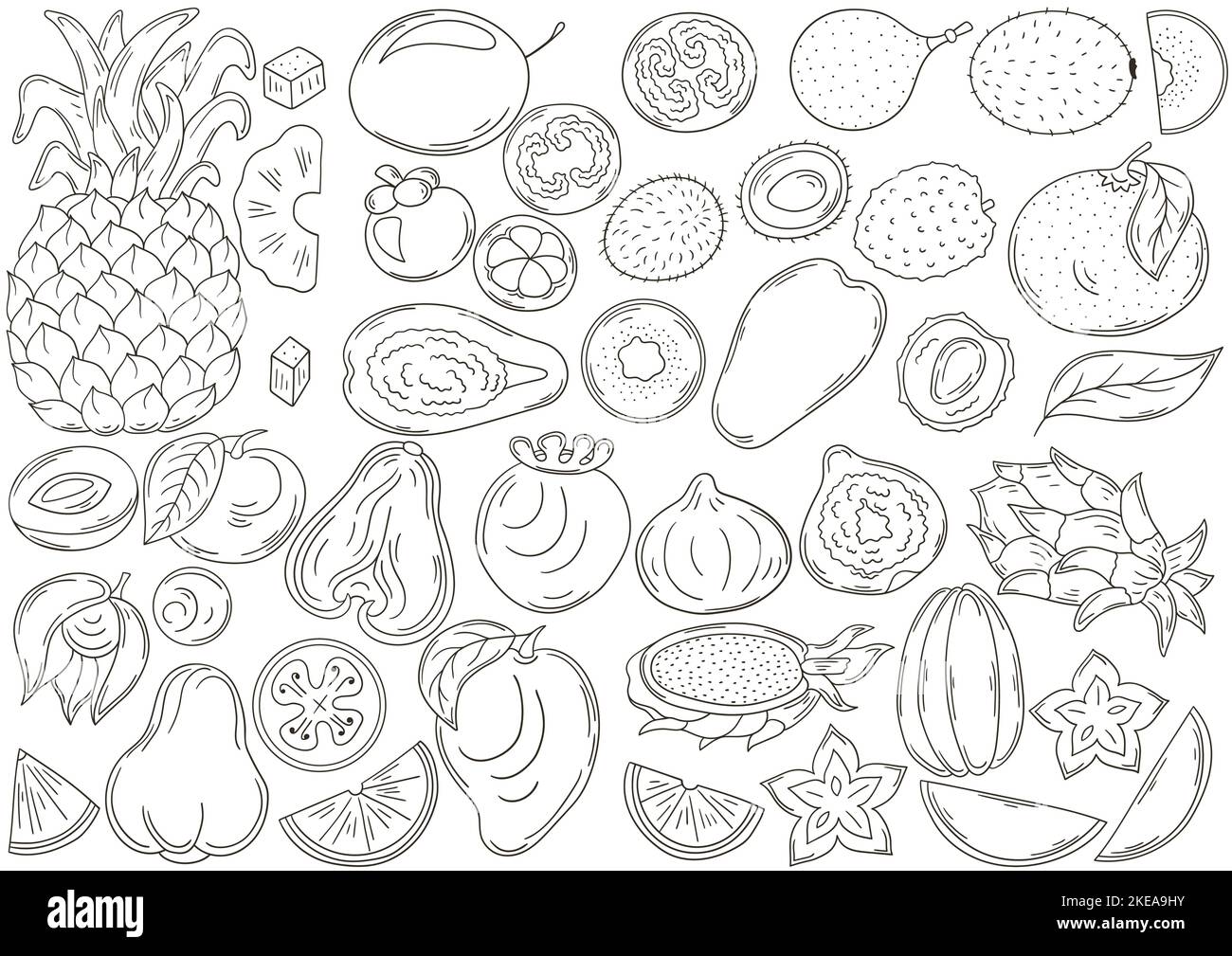 Big set of vector illustrations in hand drawn style. Coloring poster ...