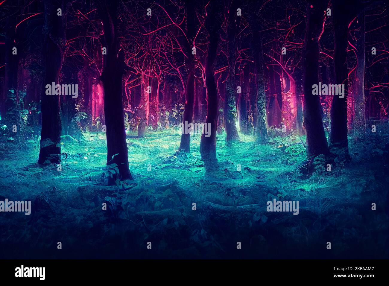fog in the forest, silhouettes of trees Stock Photo - Alamy