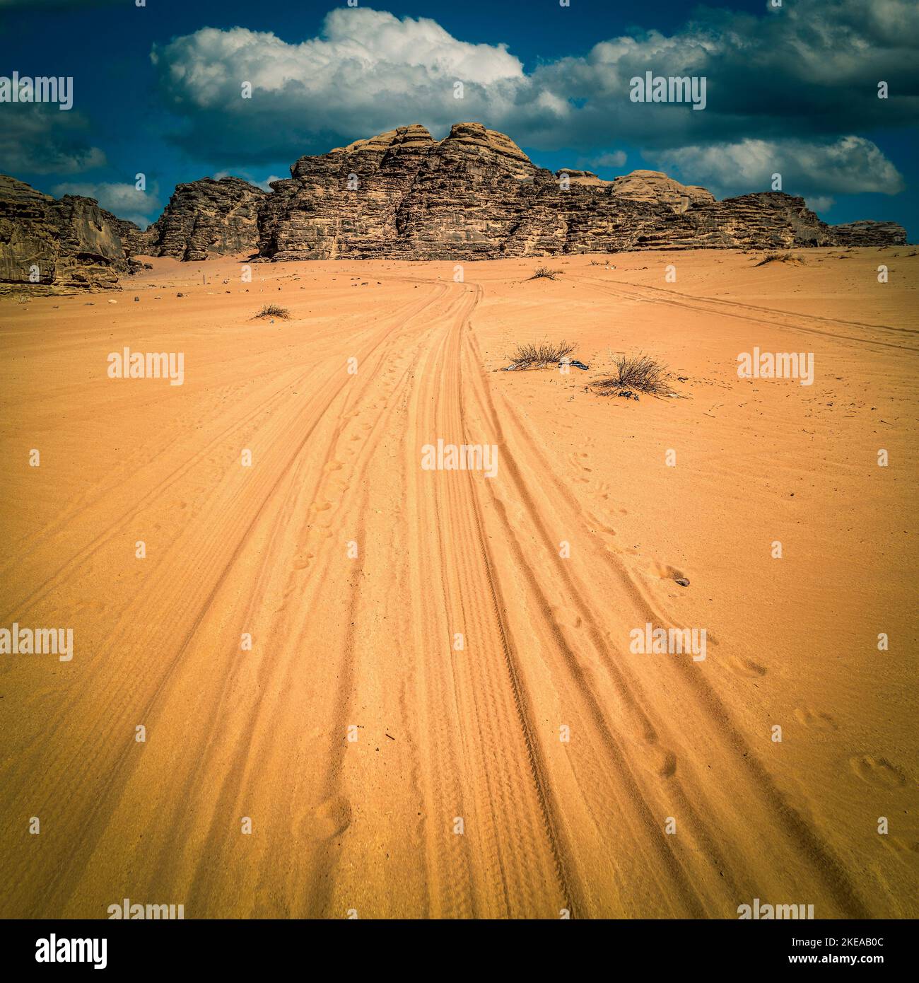 tire tracks on the sand of the wadi rum desert. Jordan Stock Photo