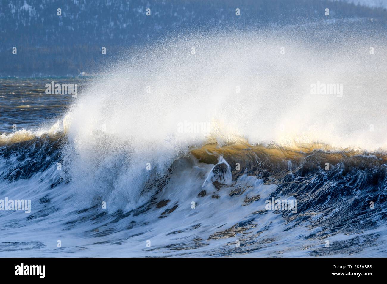Grosse Welle bricht bei Wintersturm am Strand der Kachemak Bay, bei Home auf der Kenai Halbinsel, Alaska, USA Stock Photo