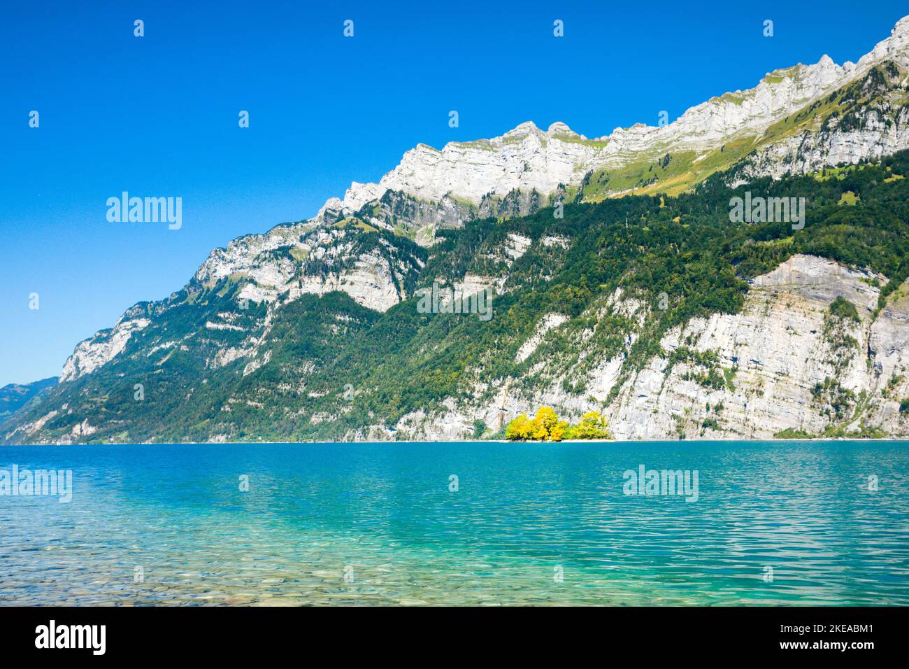 Aussicht vom Ufer des Walensees auf die kleine Schnittlauchinsel inmitten des türkis farbenen Wassers und mit dem Bergmassiv Schären und Leistchamm im Stock Photo