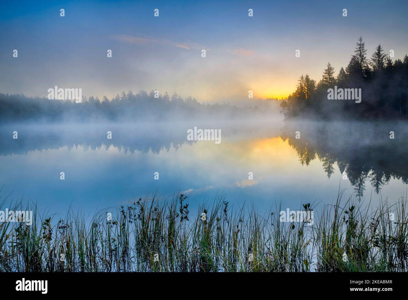 Stimmungsvolle Morgendämmerung mit Nebelschwaden über dem spiegelglatten Moorsee Étang de la Gruère im Kanton Jura, Schweiz Stock Photo